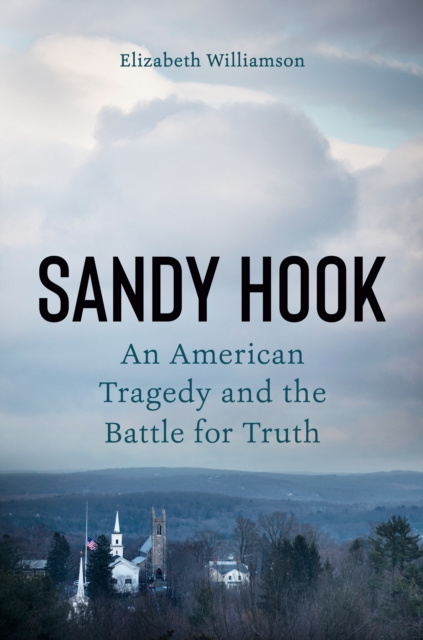 E-knjiga Sandy Hook Elizabeth Williamson