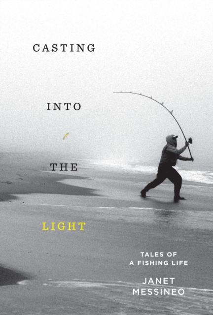 E-knjiga Casting into the Light Janet Messineo