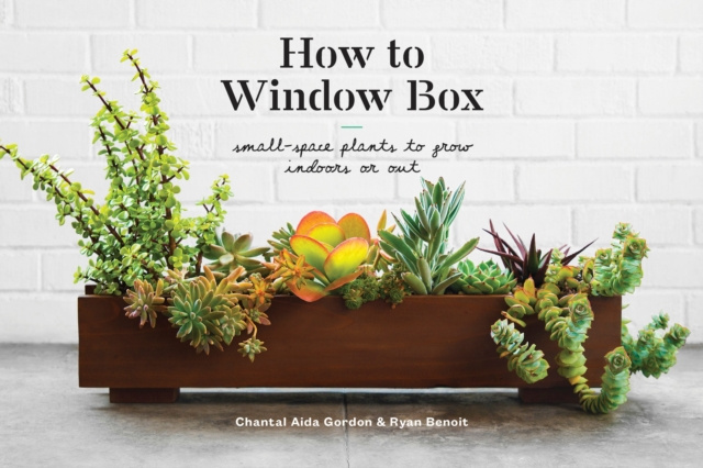 E-knjiga How to Window Box Chantal Aida Gordon