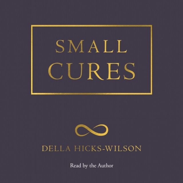 Audiobook Small Cures Della Hicks-Wilson