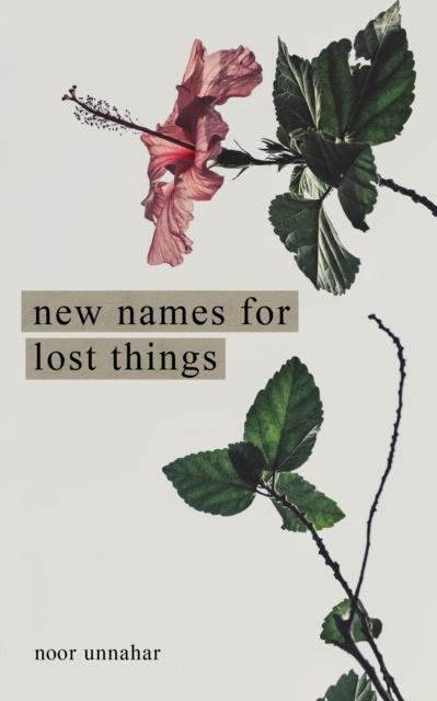 E-kniha New Names for Lost Things Noor Unnahar