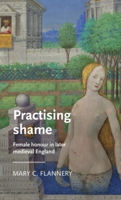 E-book Practising shame Mary C. Flannery