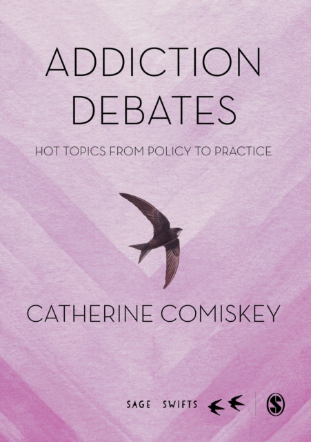 E-book Addiction Debates Catherine Comiskey