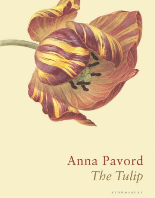 E-knjiga Tulip Pavord Anna Pavord
