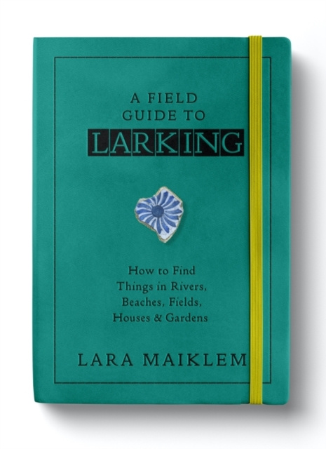 E-knjiga Field Guide to Larking Maiklem Lara Maiklem