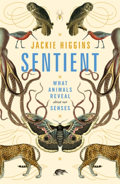 E-book Sentient Jackie Higgins
