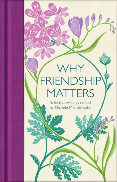 E-book Why Friendship Matters Michele Mendelssohn