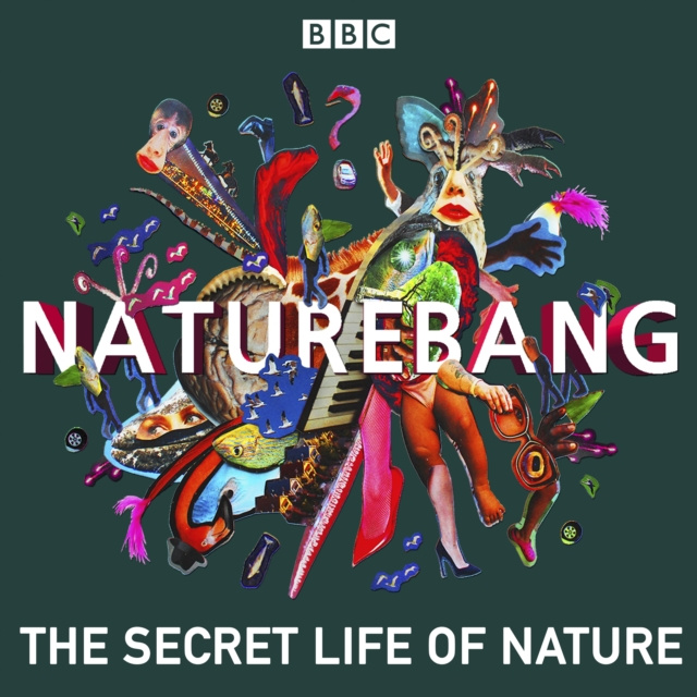 Audiobook NatureBang Becky Ripley