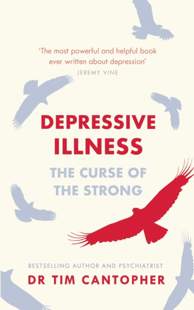 E-kniha Depressive Illness Tim Cantopher