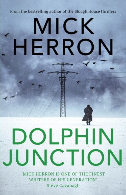 E-kniha Dolphin Junction Mick Herron