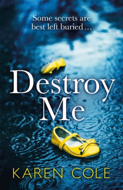 E-book Destroy Me Karen Cole