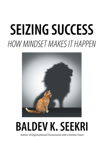 E-knjiga Seizing Success Baldev K. Seekri