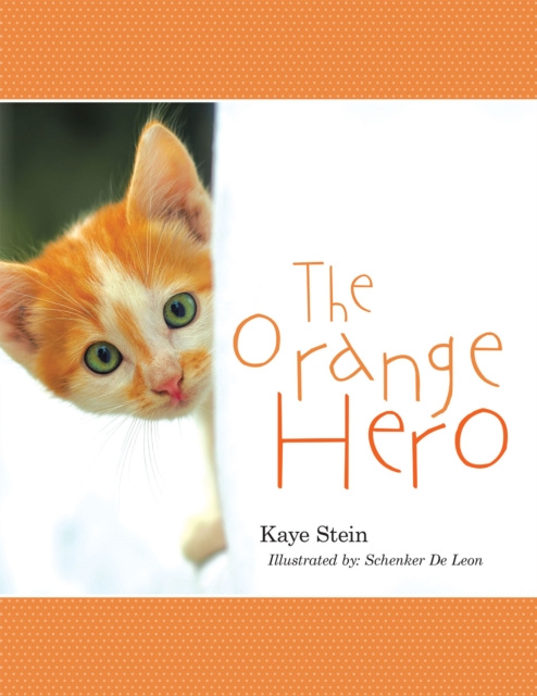 E-book Orange Hero Kaye Stein