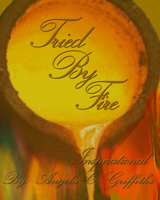 E-book Tried By Fire Angela Griffiths