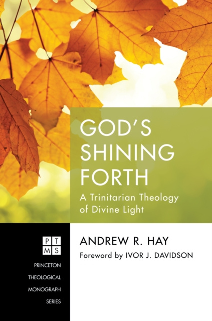 E-book God's Shining Forth Andrew R. Hay