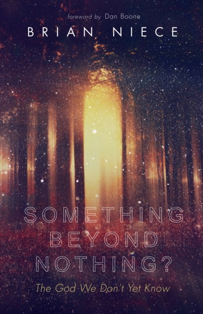 E-book Something Beyond Nothing? Brian Niece