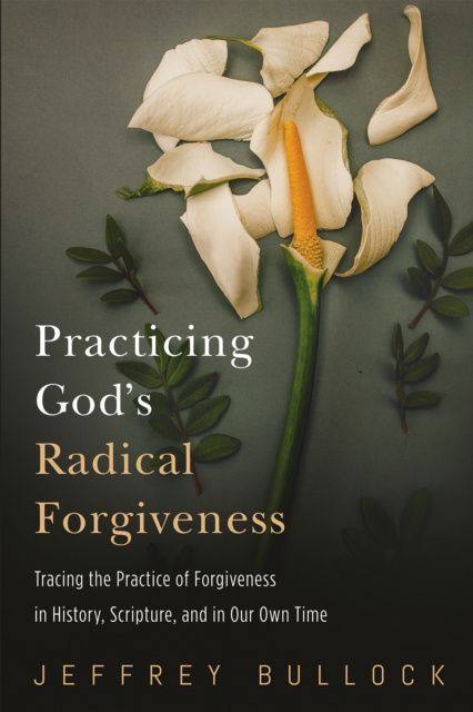 E-knjiga Practicing God's Radical Forgiveness Jeffrey Bullock