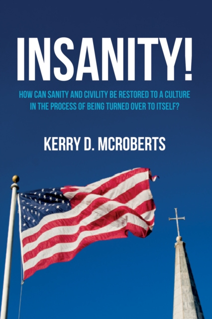 E-kniha Insanity! Kerry D. McRoberts