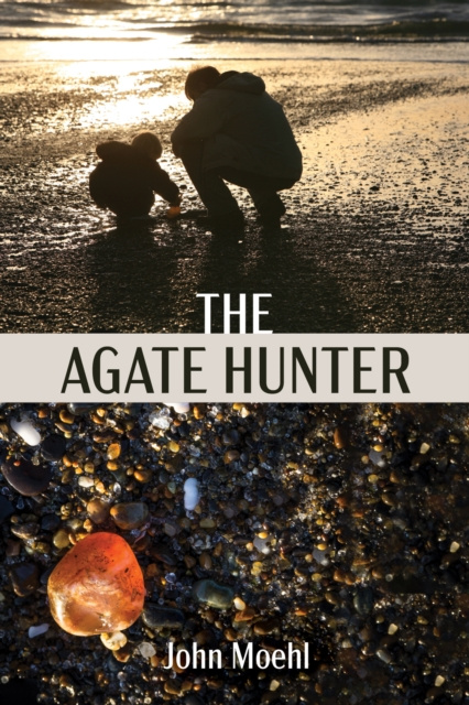 E-book Agate Hunter John Moehl