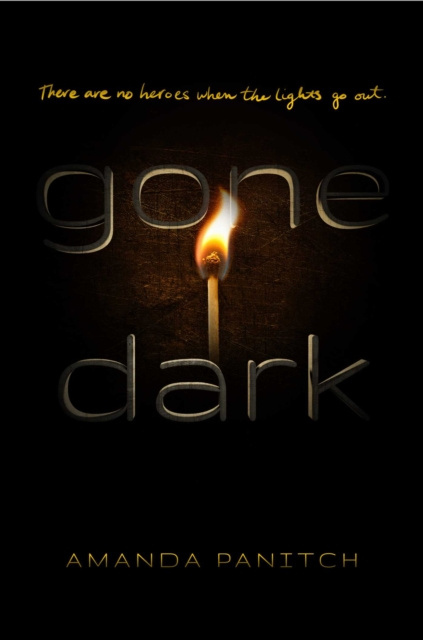 E-book Gone Dark Amanda Panitch