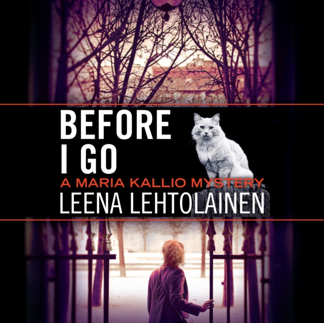Luisterboek Before I Go Leena Lehtolainen