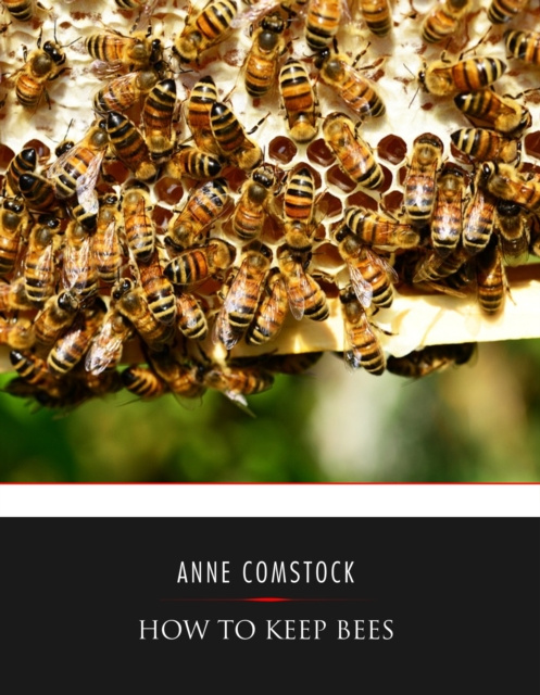 E-kniha How to Keep Bees Anna Botsford Comstock