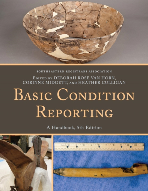 E-knjiga Basic Condition Reporting Deborah Rose Van Horn