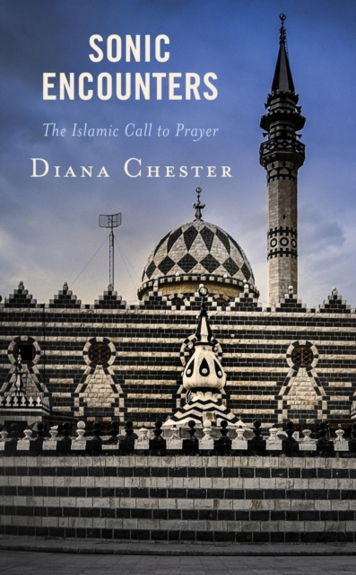 E-knjiga Sonic Encounters Diana Chester