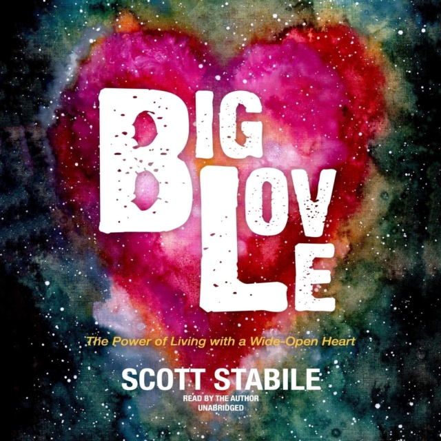 Audiobook Big Love Scott Stabile