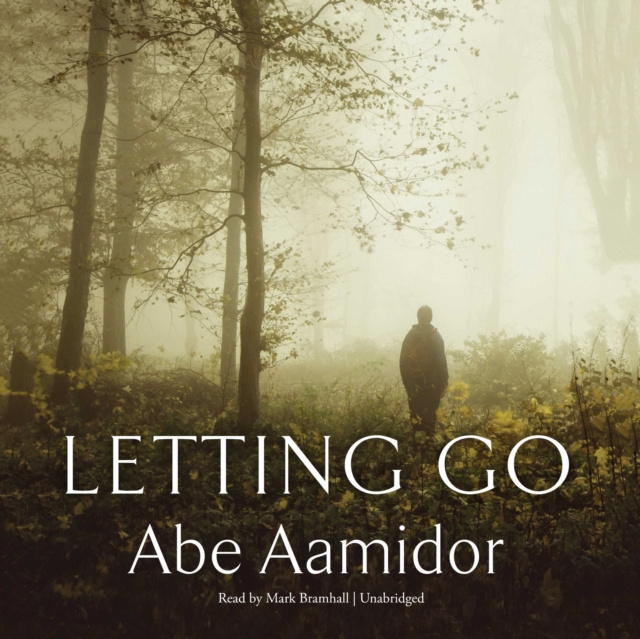 Luisterboek Letting Go Abe Aamidor