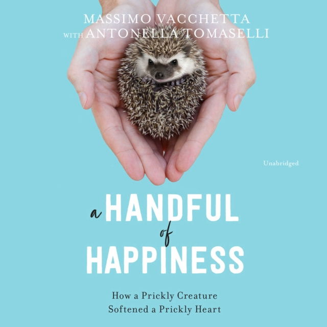 Audiokniha Handful of Happiness Massimo Vacchetta