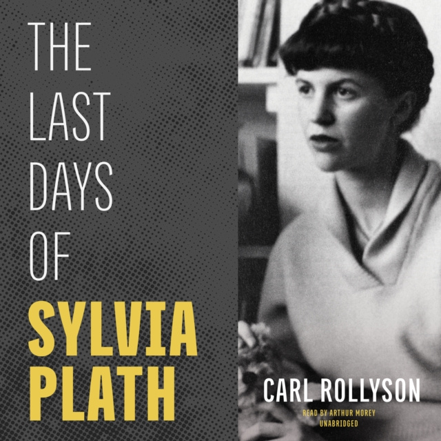 Audio knjiga Last Days of Sylvia Plath Carl Rollyson
