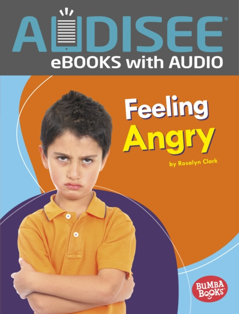 E-knjiga Feeling Angry Rosalyn Clark