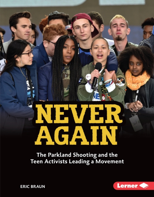 E-knjiga Never Again Eric Braun