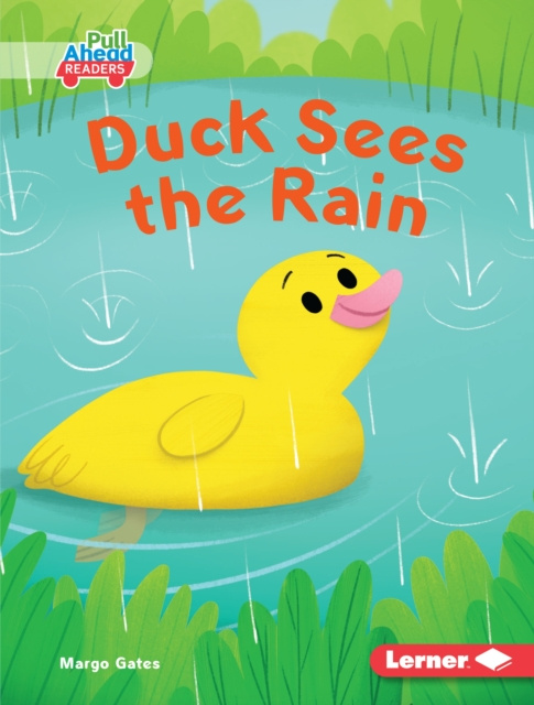 E-book Duck Sees the Rain Margo Gates