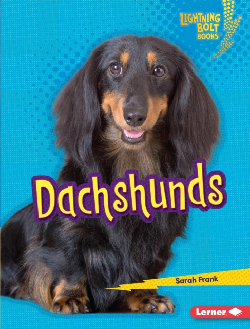 E-Book Dachshunds Sarah Frank