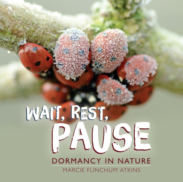 E-knjiga Wait, Rest, Pause Marcie Flinchum Atkins