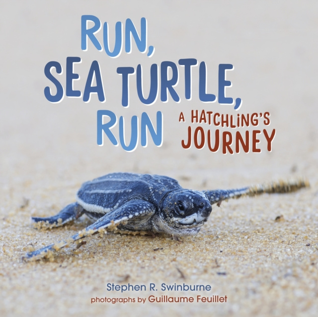 E-knjiga Run, Sea Turtle, Run Stephen R. Swinburne