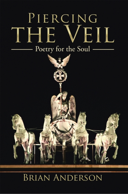 E-Book Piercing the Veil Brian Anderson