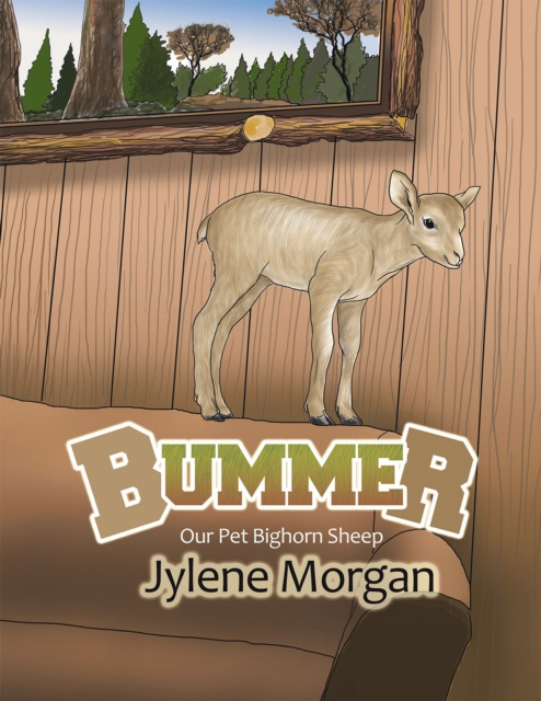 E-knjiga Bummer Jylene Morgan