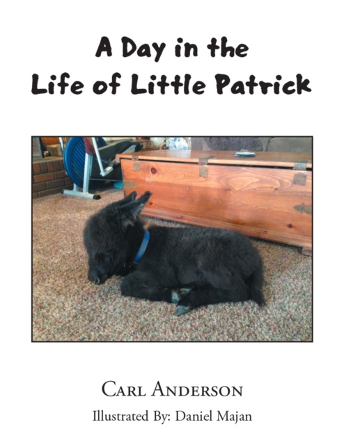 E-kniha Day in the Life of Little Patrick Carl Anderson