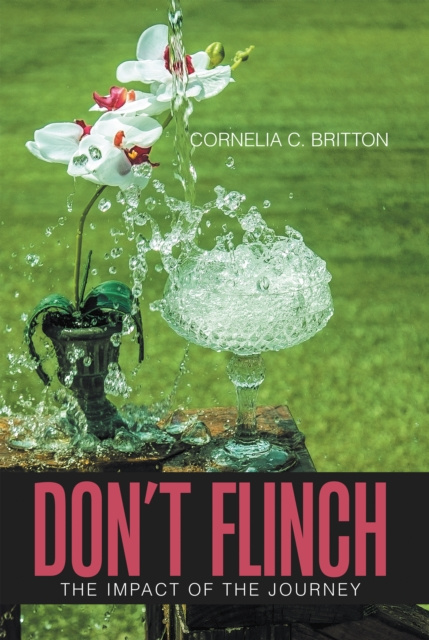 E-knjiga Don'T Flinch Cornelia C. Britton