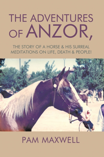 E-knjiga Adventures of Anzor Pam Maxwell