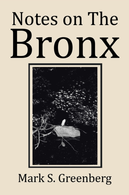 E-kniha Notes on the Bronx Mark S. Greenberg