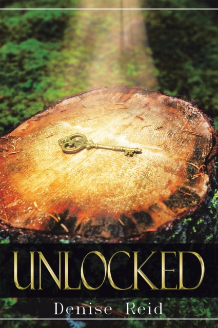 E-Book Unlocked Denise Reid