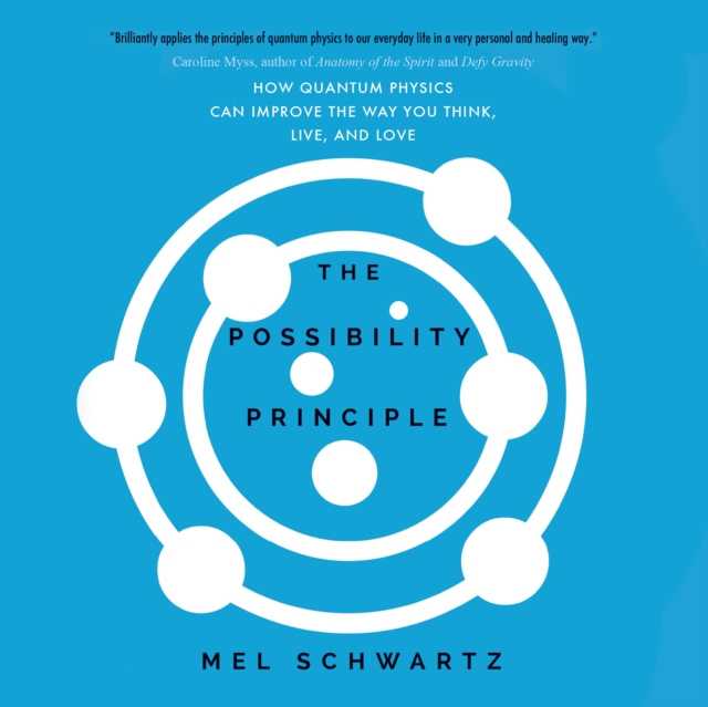 Audiobook Possibility Principle Mel Schwartz
