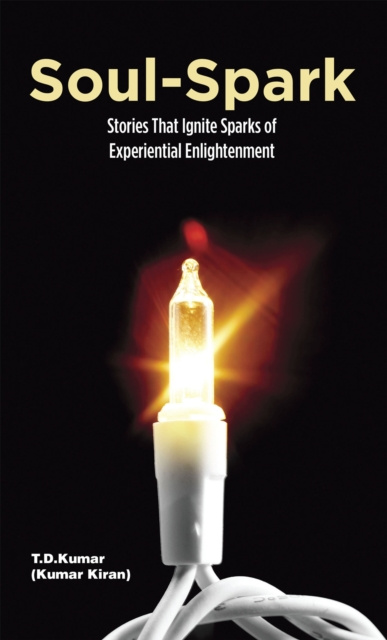 E-knjiga Soul-Spark T.D.Kumar