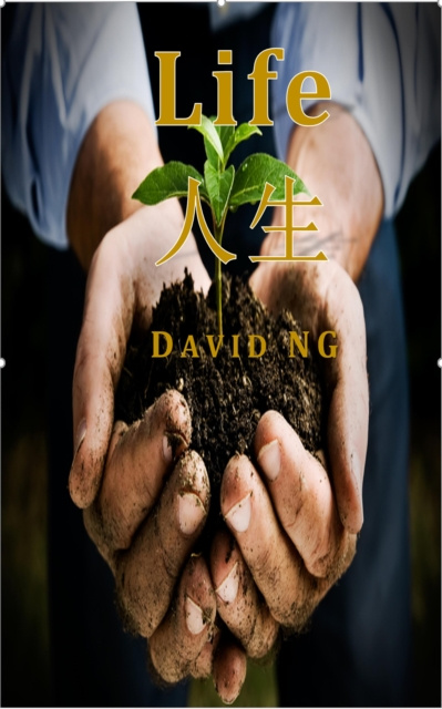 E-book Life David Ng