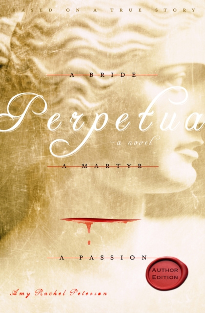 E-knjiga Perpetua Amy Rachel Peterson