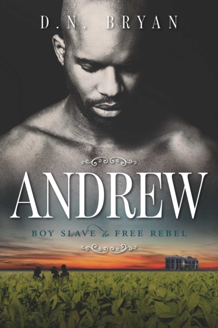 E-knjiga Andrew Donald Bryan